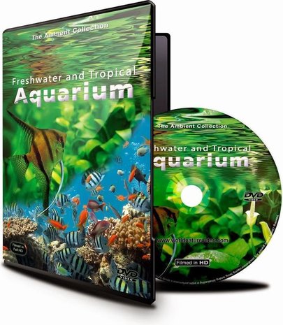 Voordracht US dollar schoorsteen DVD Tropisch aquarium en zoet water - Dé Dementie-winkel.nl
