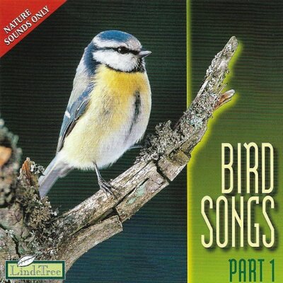 CD  Bird songs